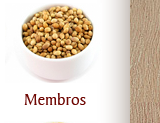 Membros da Aregala Brasil!