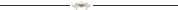 Divisor