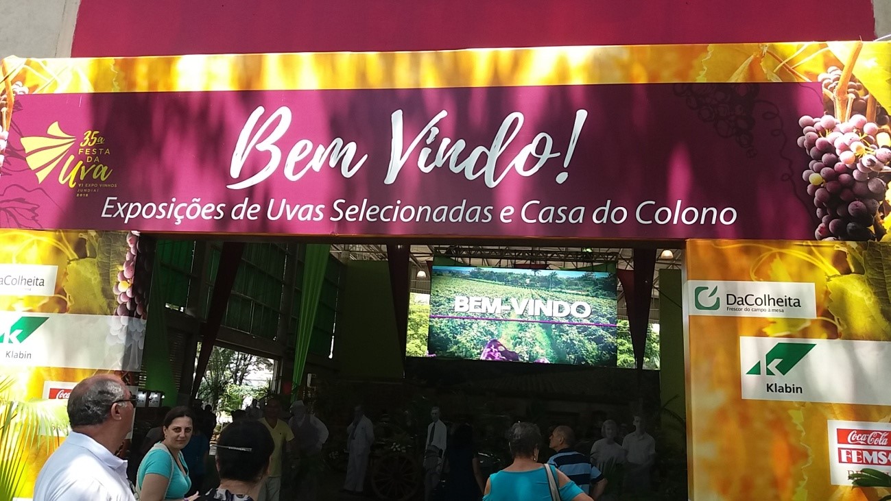 Festa da Uva